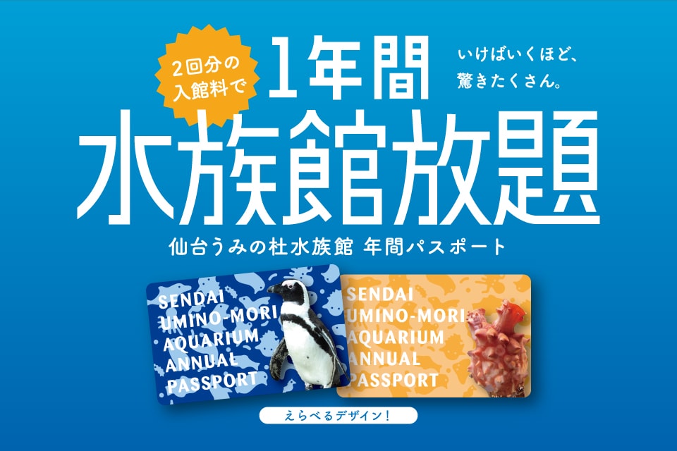 年間パスポート